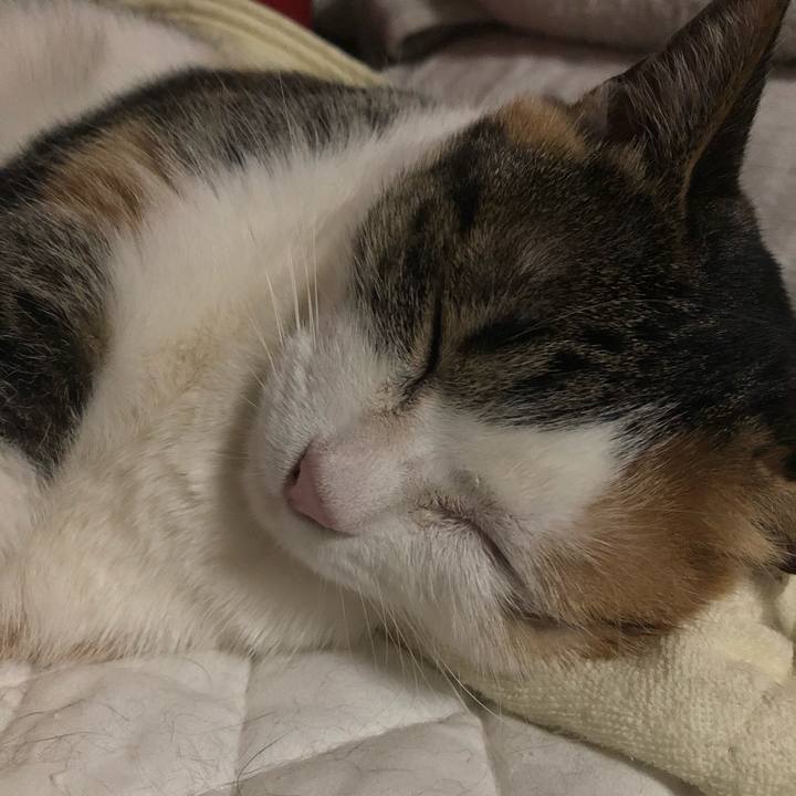 C036f26d 0ae8 46fc ab50 130beaf34431 1613832140377