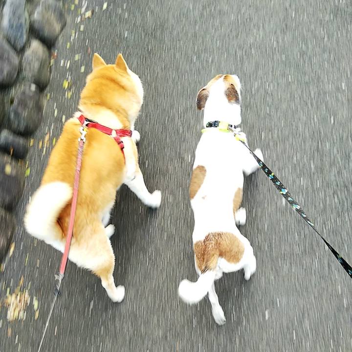 C03700a2 2f99 4aa7 b8c9 628c2267ba66 1539521903831