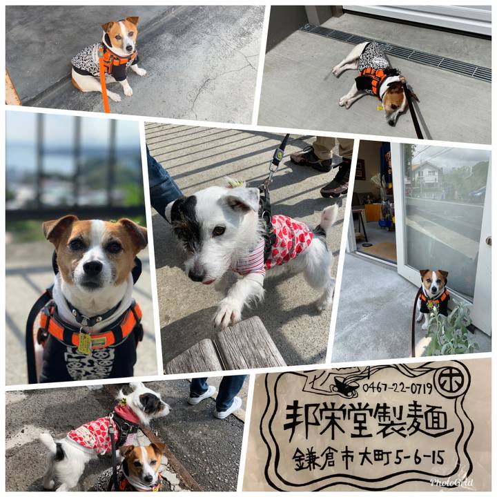 C03718a5 7551 4c09 9ed3 5b2361b94594 1556794354498