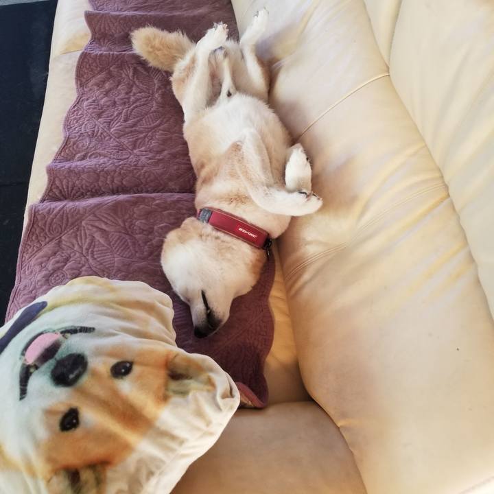 C0372e7d ac35 4aaf a83e 8b32476d6637 1759186037935