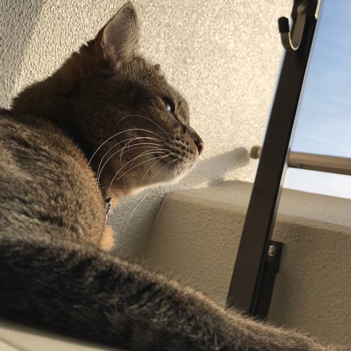 C0374389 9371 4cfb 9b46 8ebcceb18a2b 1572842274756