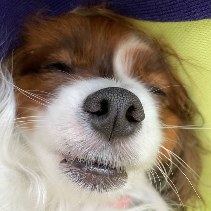 C0378093 d822 4969 bfb3 202753f10ef6 1653352445576