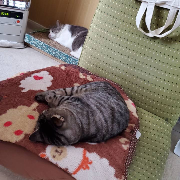 C037a5bb 66f4 4471 a5e2 27c755de6e31 1705299404665