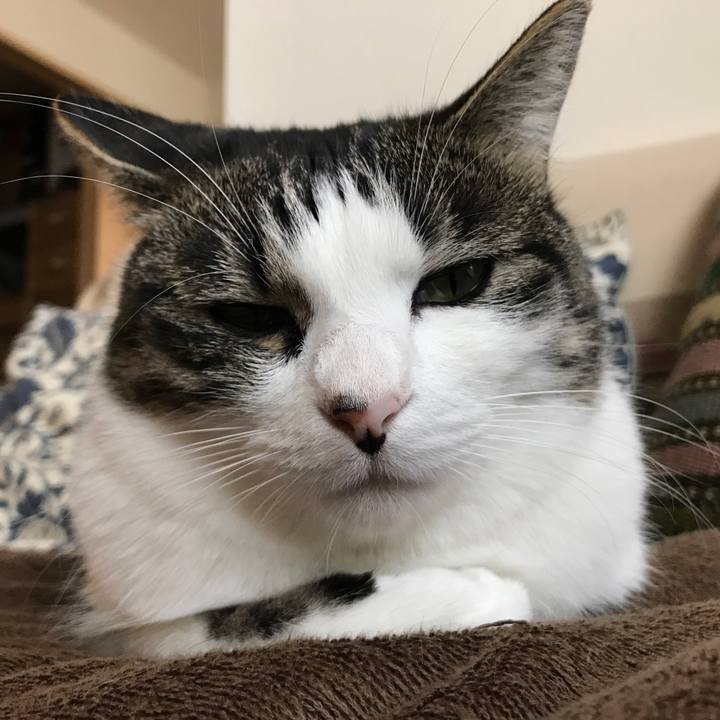 C0381250 1c27 4dd3 9ae6 89ef3a44efa0 1513083644867