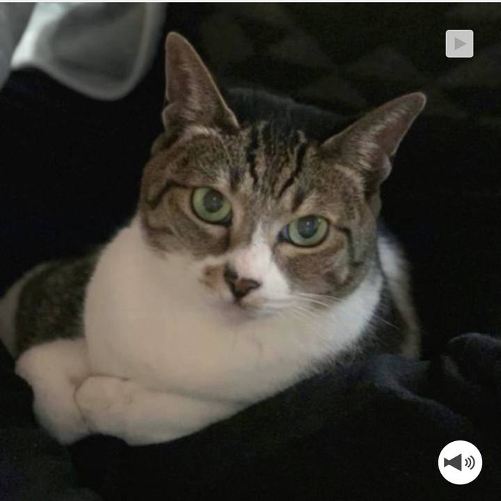 C03821ab d04f 411b 9b2b b2a15a26be6d 1579828482108