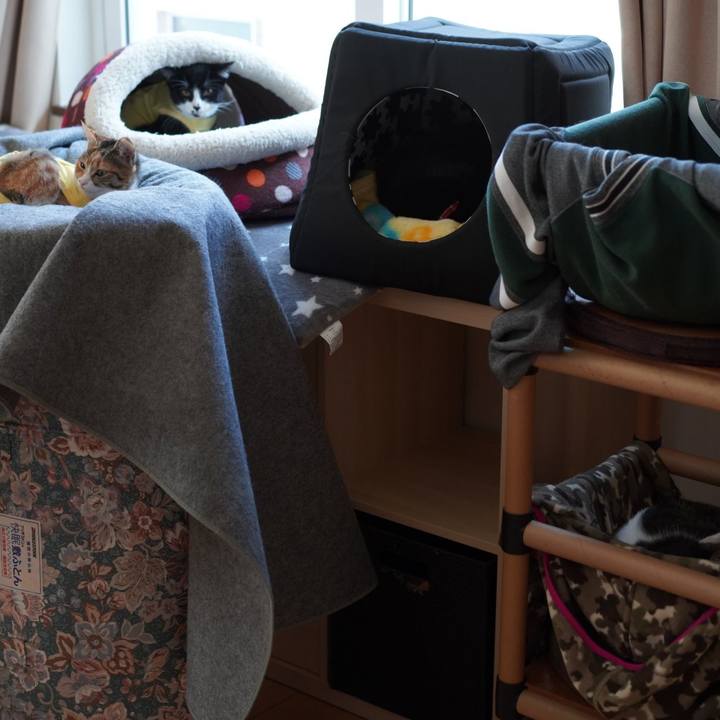 C038b916 2538 4691 b2a2 002292668edf 1579131836585