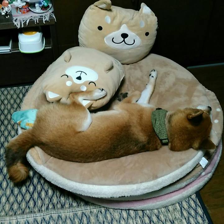 C038c5d4 062f 4497 ae3e 398aa50ab29f 1532247151817