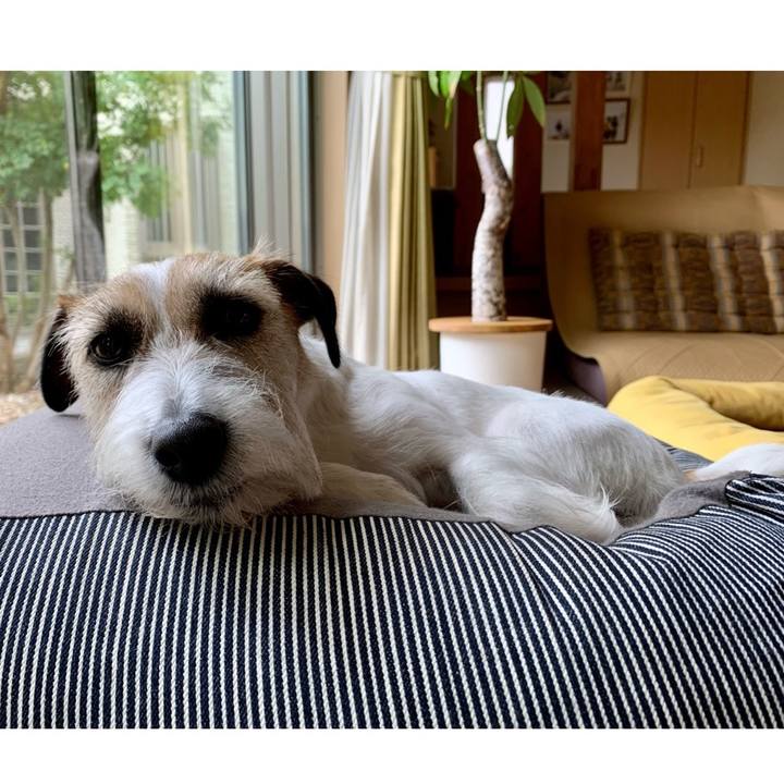 C039339e dde5 4760 b127 9acf95de1211 1681623139280