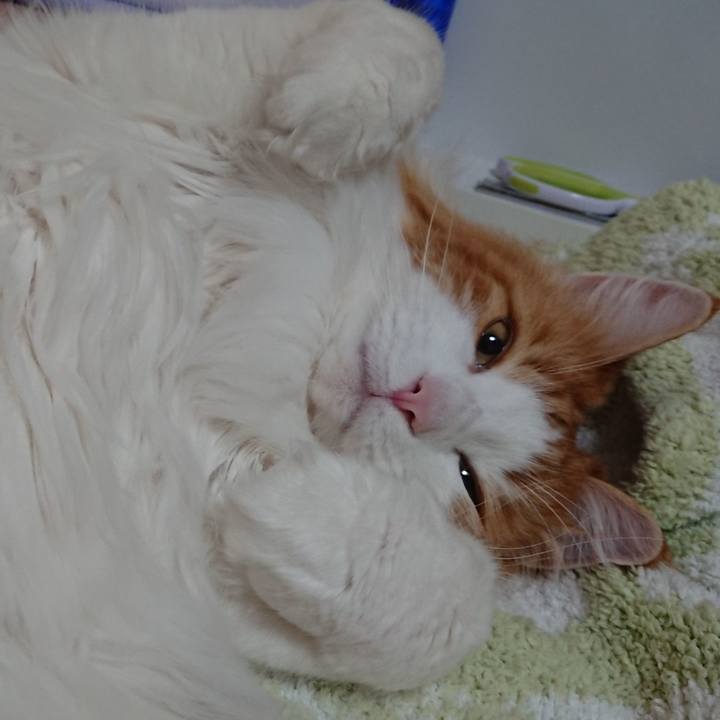 C0398c92 6257 4e60 8450 73b8653b3262 1555596477522