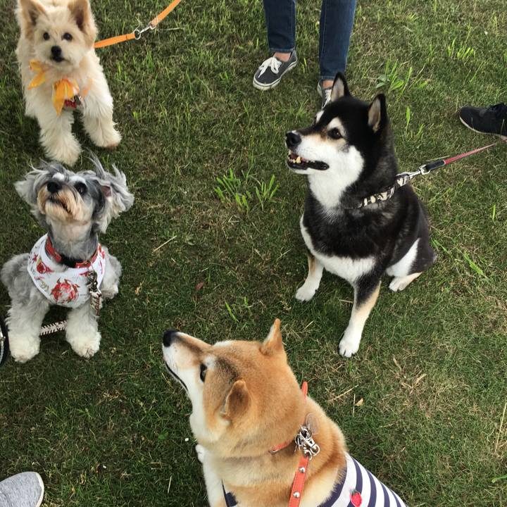 C0399c28 51c9 4cc7 b5db b52e3acac7fc 1559533127043