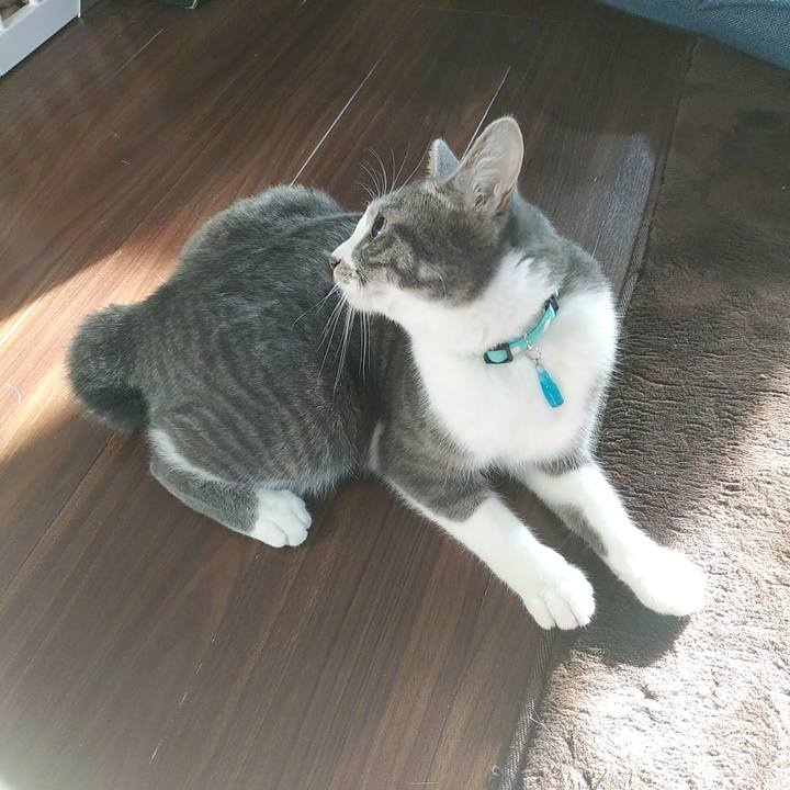 C039e070 7548 4cbd aaf0 b8969b9f8b02 1582153836947