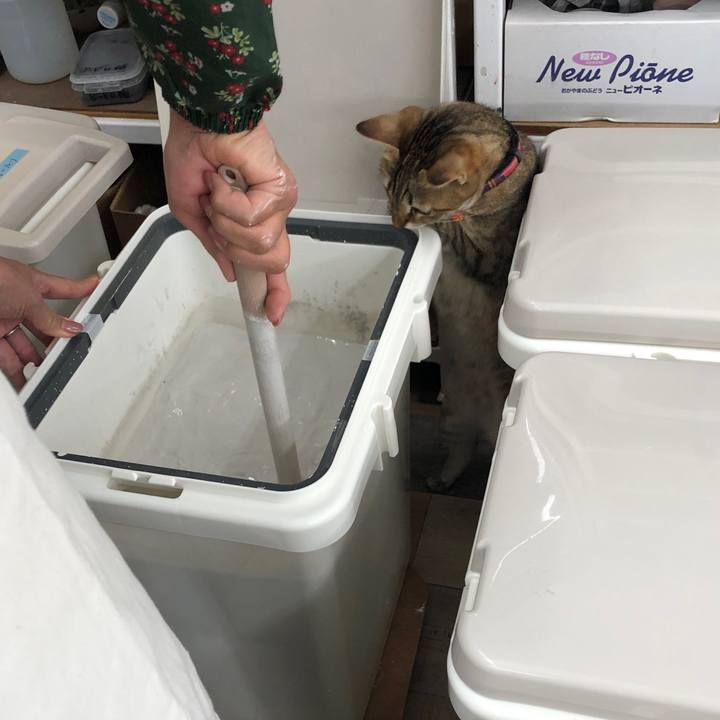 C039f3c2 1d7e 4228 8f4f 182698694907 1639187650006