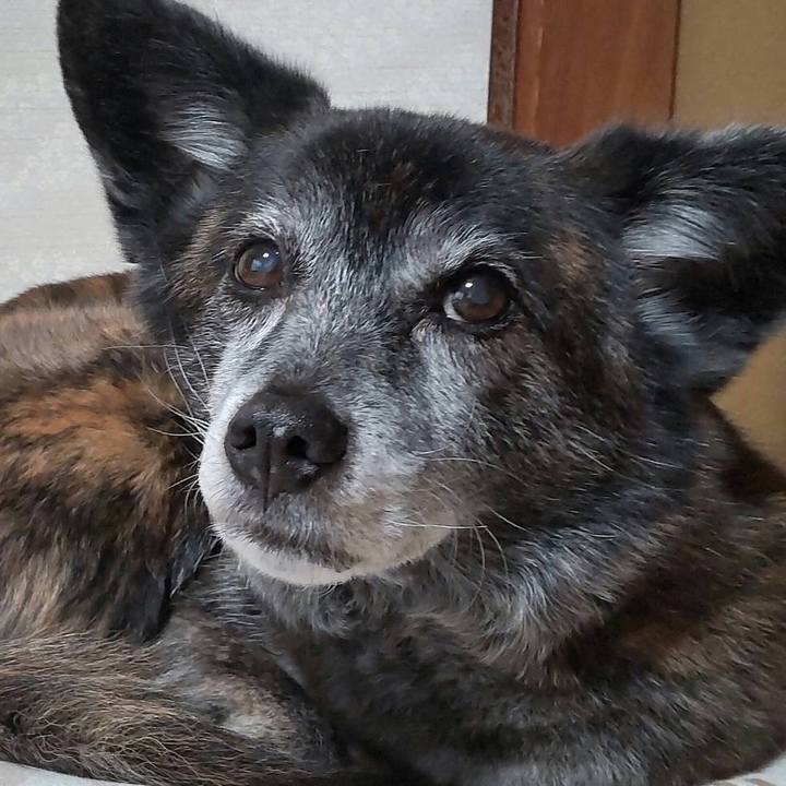 C03a0e89 4050 44f1 b24d 44179eaa266d 1711832138457