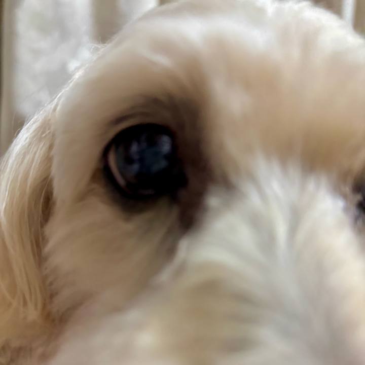 C03a466d 3c69 417b 9f33 45488e3e04a0 1766812907348