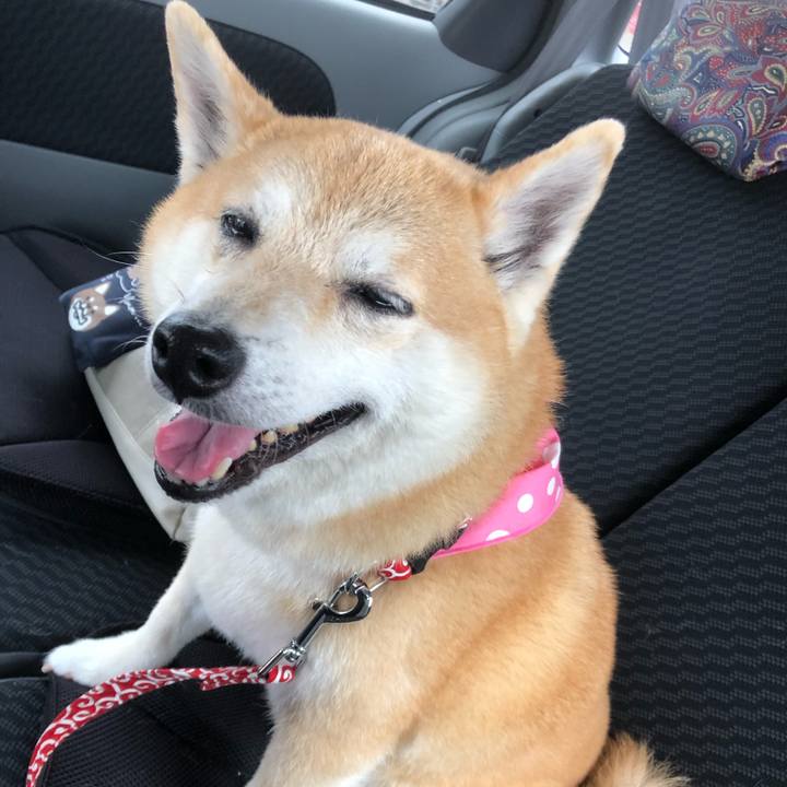 C03a5706 3552 4c5b a309 5843b655e657 1592023136368