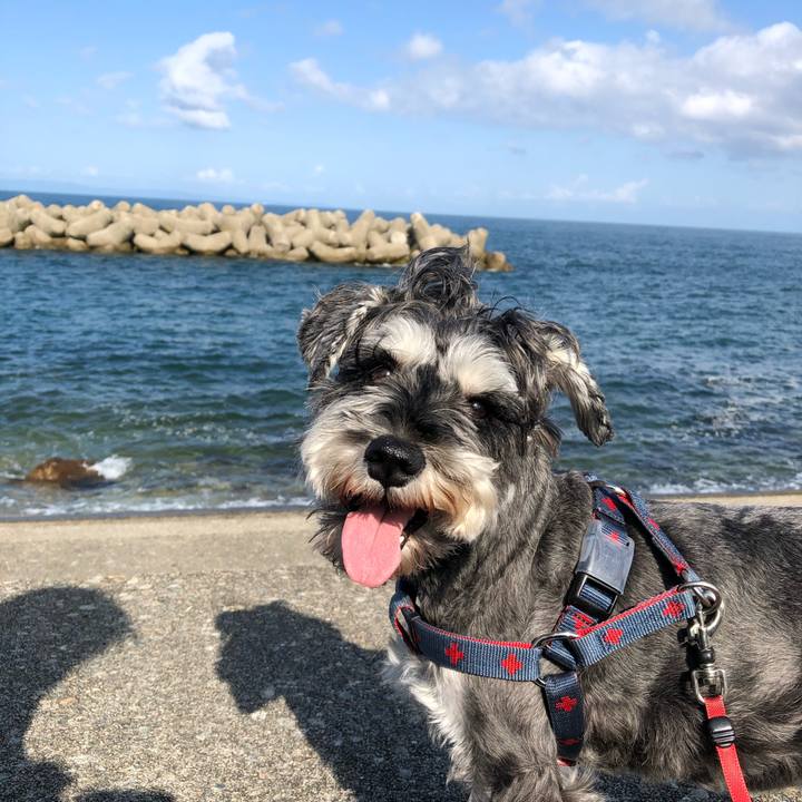 C03a7698 e485 41ad 82f5 1525e9f1fc3d 1633142584277