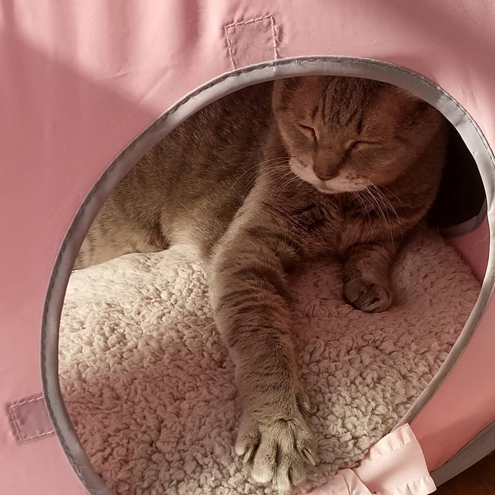 C03a896d 4e93 4eb8 9619 e2176fedaf67 1667092233403