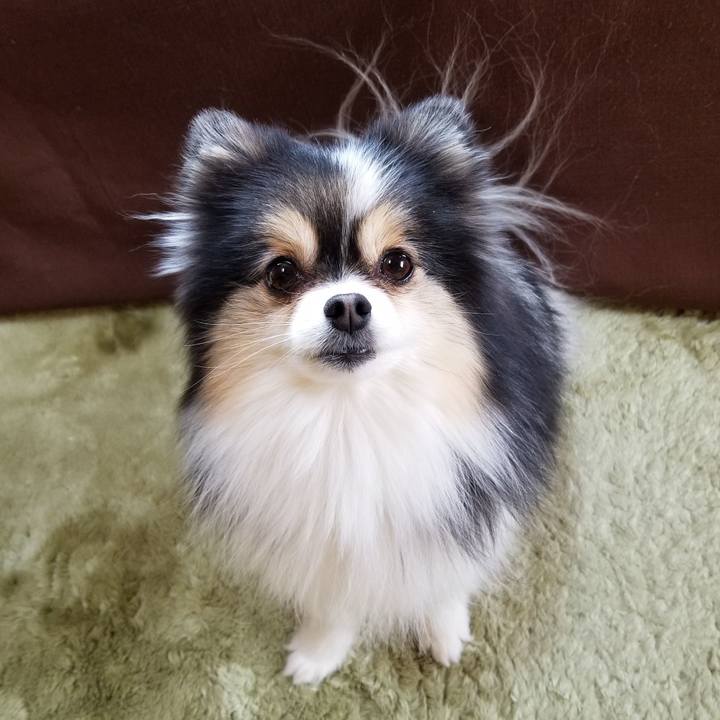 C03a93c9 6a3a 4d8b b95a cbceacd2ffcb 1586562025174