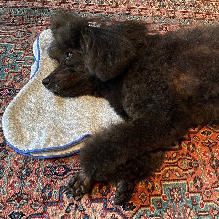 C03abc09 9dc3 475a 92b5 5a4dc4fed592 1594099460217