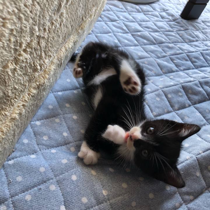 C03adade 6084 4e49 b138 0a107745567d 1537594060120