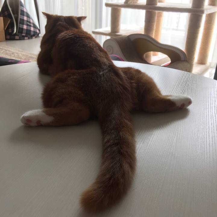 C03b1b22 fc23 4c8c 9f4c f851ccec8067 1558230013792