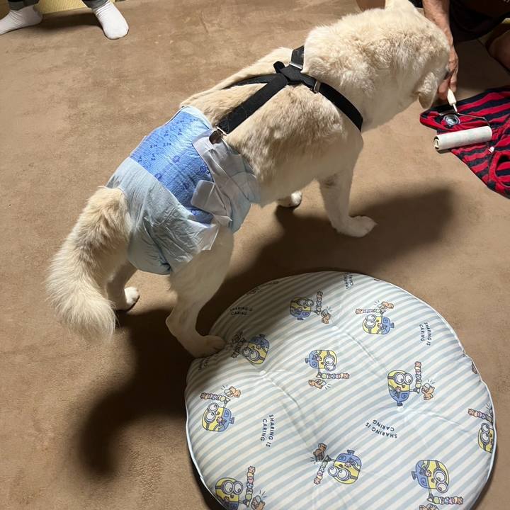 C03b6562 95eb 4c54 9c4e 406734843aa9 1767570758452