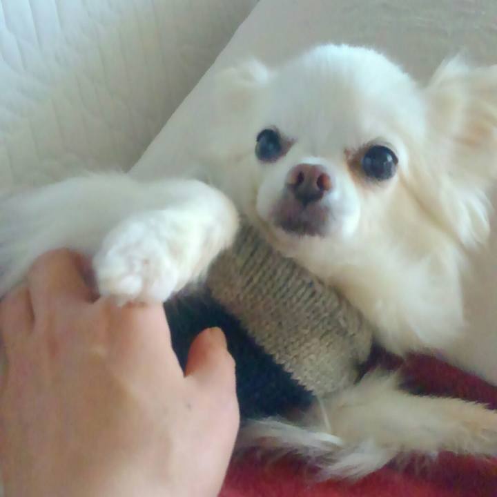 C03b9b95 7031 4e54 9ffe 5f6752e76711 1543924978390