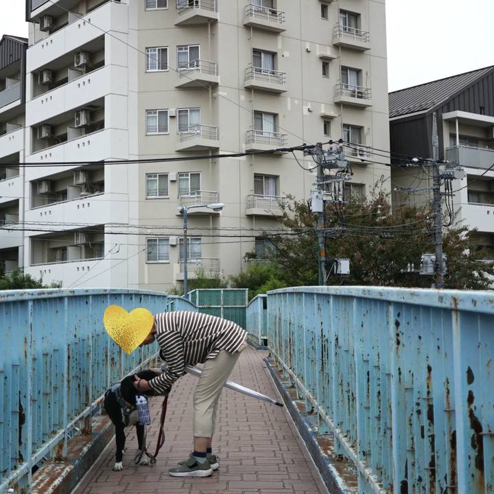 C03ba69f 379f 4e43 95f0 e1375e72dca3 1760140746656