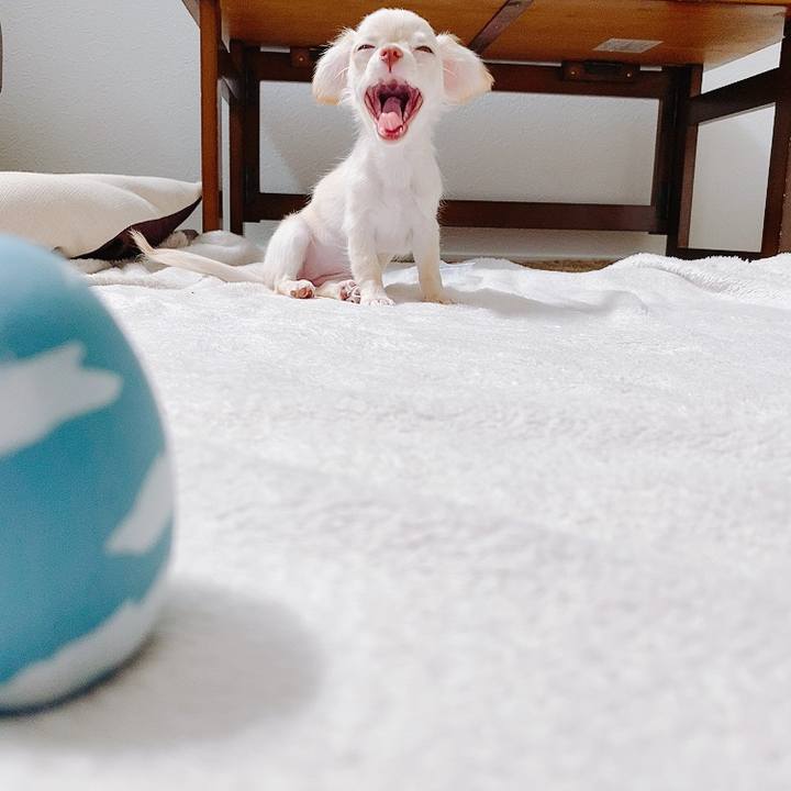 C03bafa8 6af0 4c4e a3f1 e3b6bcee9895 1591512766470