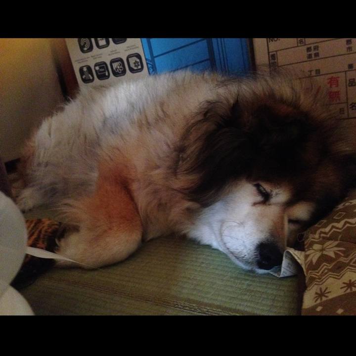 C03c18dd 1a46 48f5 a615 8f35227c1196 1657359297106