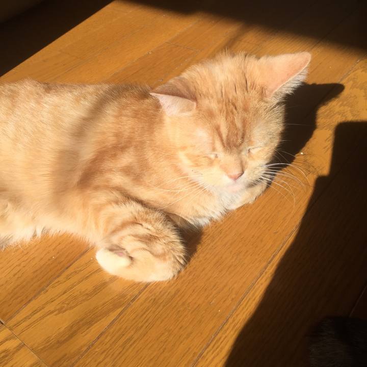 C03c2c8d 8075 4564 ae9b 6ae25a7eab67 1573894921436