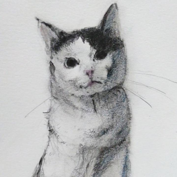 C03c4b09 a36f 49e1 81d0 1990e03c1997 1529469810882