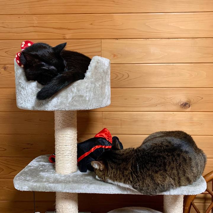 C03c5dd0 2d09 47d5 9c09 8c6a9e238bff 1577234580132