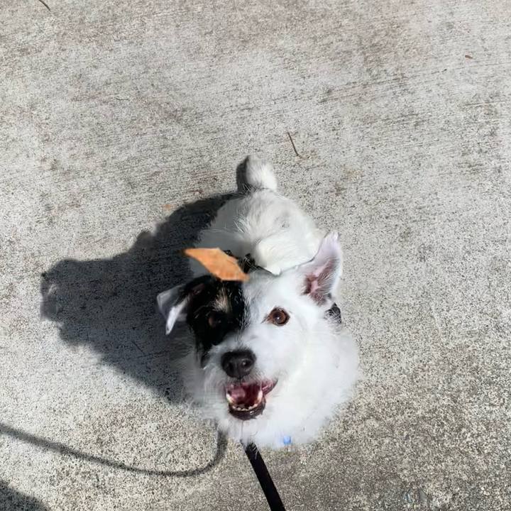 C03c6f65 a4d7 4beb b762 9556611c94b6 1719016223793