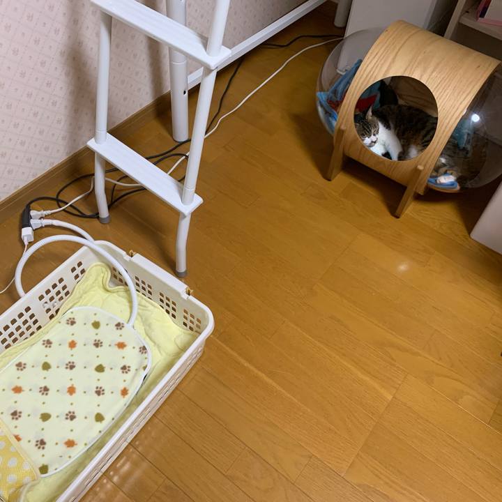 C03c8505 3fce 4f7d aa18 b5a48b3af054 1633436465805