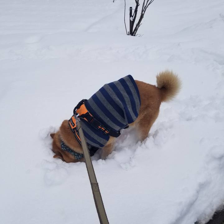 C03c96ca 55a8 464b a536 6435729a20a4 1709089724085