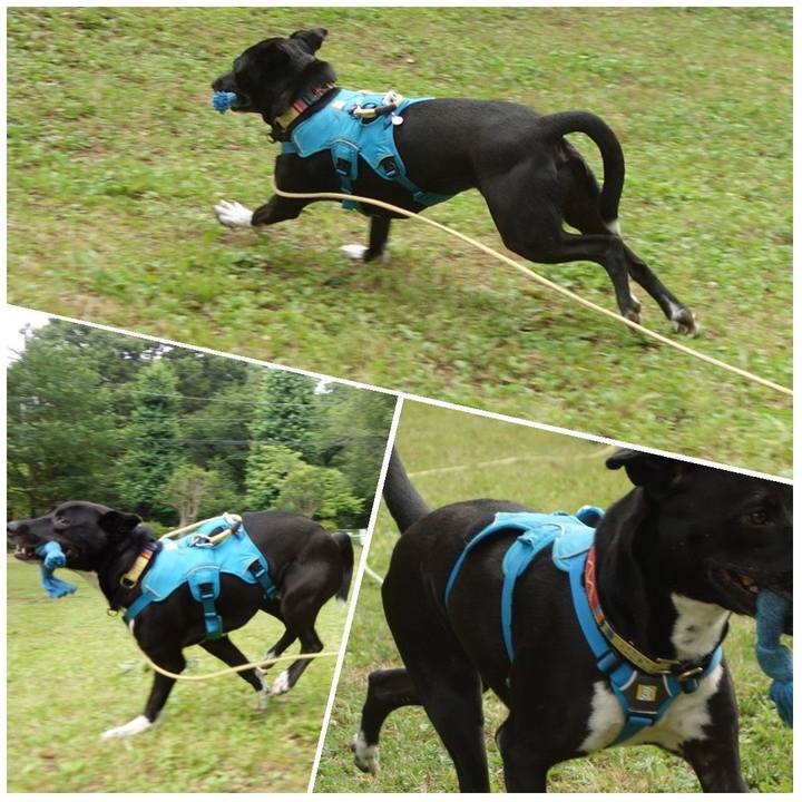 C03ca0ea 0deb 4f5f 8bf1 e242e92f40ab 1623543527191