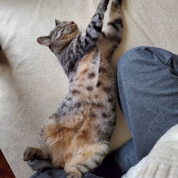 C03cb7d0 2335 4653 a8b4 da84f534255e 1702646019369