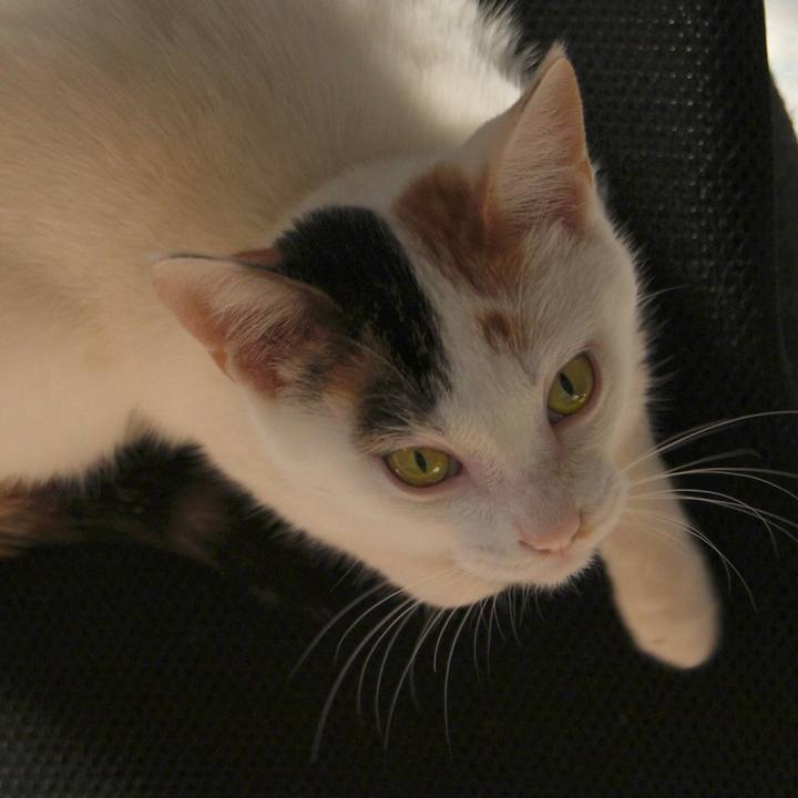 C03d2412 b0c9 45a4 ad50 03394241ff46 1555722308742