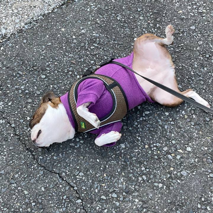 C03d3ffe 05d3 4893 826c 97a1dbdb290f 1733312310037