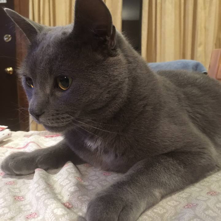 C03d41fe 24c0 48da 86e8 87c5bf4f6c32 1633568133687