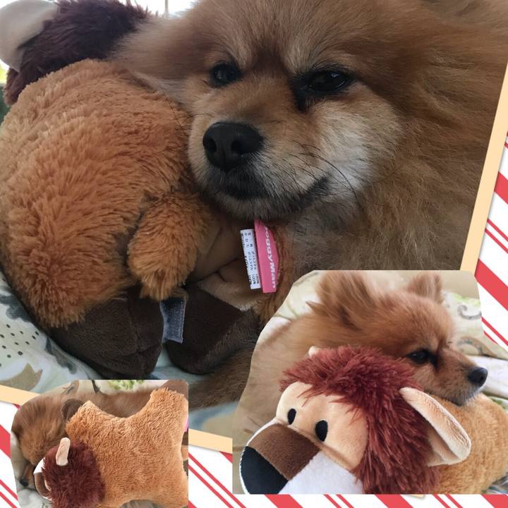 C03d4929 6d3c 4a89 87e2 06fd4274da7d 1516077759879