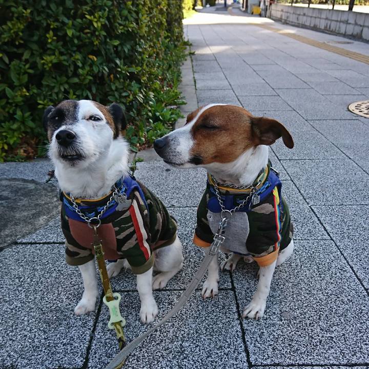 C03d584d 00cb 4ee4 96a3 66d928aac531 1615680214278