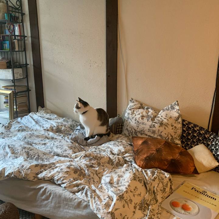 C03d5869 cad6 42f8 904b 81134f172381 1604674555259