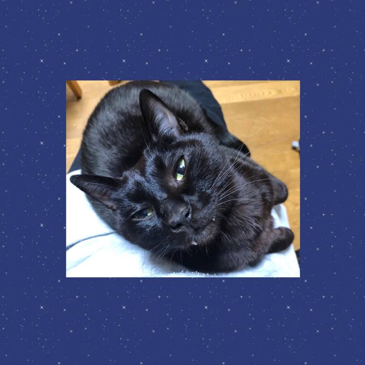 C03d713c a2d0 45c7 a5da d3d75787ef2c 1737714727826