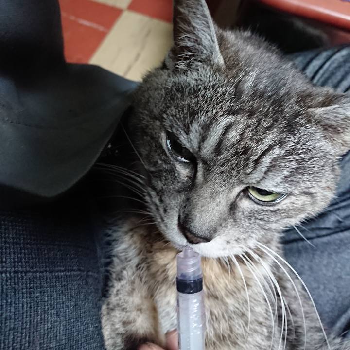 C03d719e 4e59 4b8d 8723 4ed62edafcd1 1579556669246