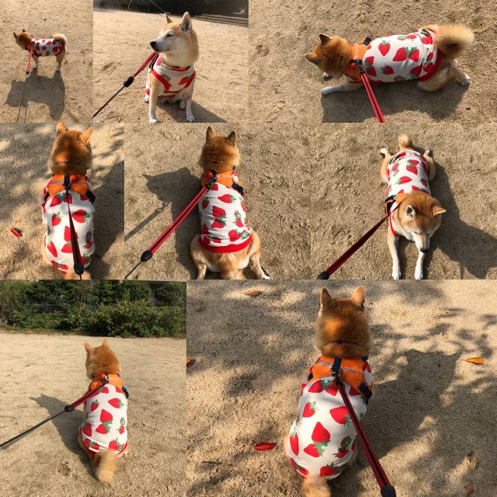 C03d95b6 2bb0 48eb b221 6cd8de60f0dc 1572411371146