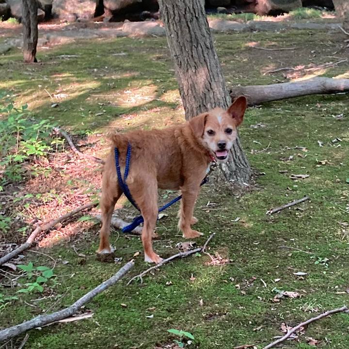 C03dc026 82ce 4cbb a0f1 444909af2dc8 1623938127549