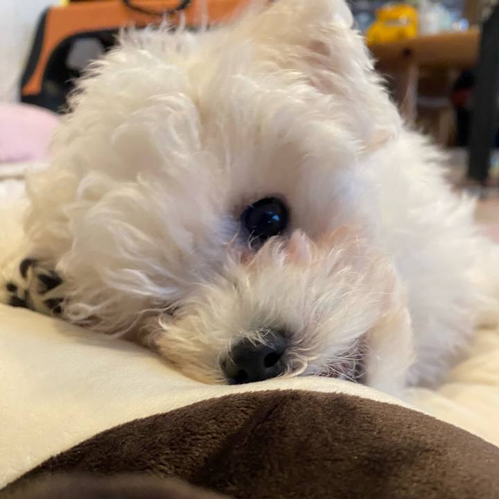 C03dc10e 2404 4577 add8 d95997354d92 1741149964573