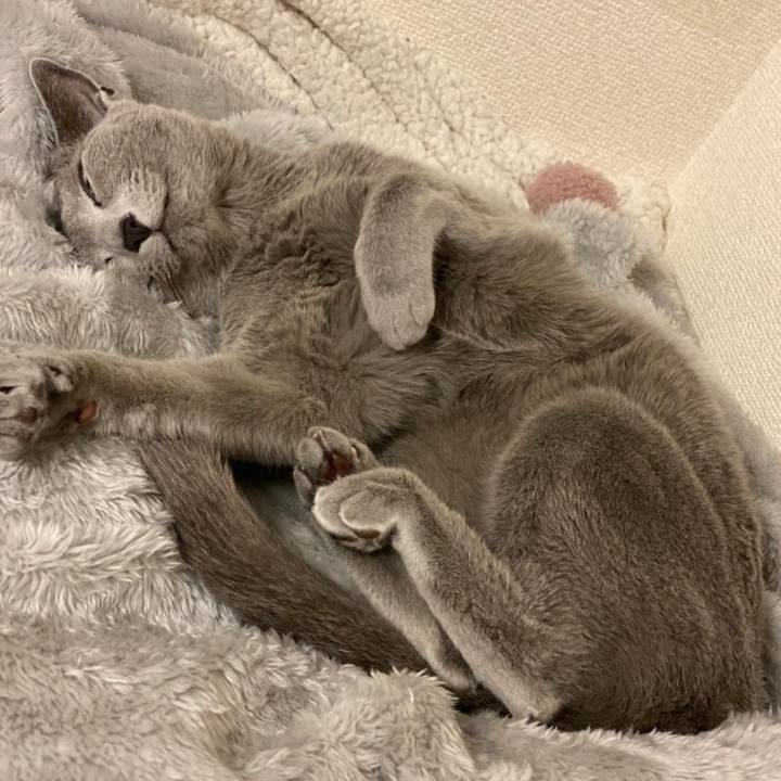 C03dcd09 ed5a 41fc b9c4 b9d68ecbc8de 1651994015914